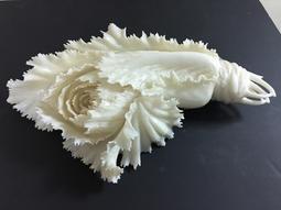 《茁壯啟業》*半價特惠* 飛刀魚 作者:張志成 E47 40.9x31.8 1996年 歷史價格詳細信息