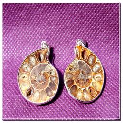 一枚珍藏早期國軍某部隊師長贈送有隊徽之功在大?紀念品 (舊品) 歷史價格詳細信息