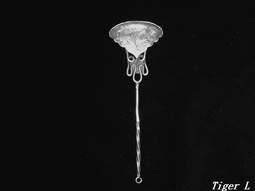 銀舌惡魔 傑佛瑞.迪佛 著 買3送1 歷史價格詳細信息