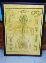 科普早教高鐵積木電動軌道火車手動DIY拼裝慣性燈光音樂兒童列車 歷史價格詳細信息