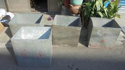 寒武紀至二疊紀_三葉蟲_Trilobita_模型_CollectA(非賣品) 歷史價格詳細信息