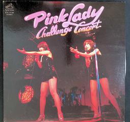 早期懷舊 DESTROYGER BATTLE COMPANY 台製 汽車變型機器人 變型金剛可參考 歷史價格詳細信息