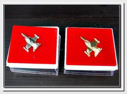 [軍中絕版紀念品]~空軍公仔撲滿(存錢筒~中型)~剩下3個值得收藏! 歷史價格詳細信息