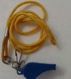 哨子 口哨 警衛 鐵口哨 登山 裁判 防狼 救生員 保全 附繩 求生哨 求救防狼警示哨 野外呼救地震哨 求生口哨 歷史價格詳細信息