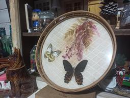 ~ 蛋媽的家 ~ 早期/老件/懷舊/復古/古早收藏 置物盒 歷史價格詳細信息