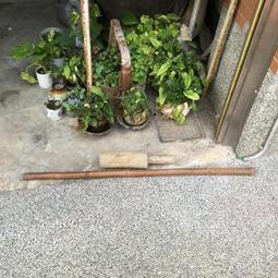 WH14790【四十八號老倉庫】全新 早期 台灣 國際 梅菊花 茶杯 170cc 2杯價【懷舊收藏拍片道具】 歷史價格詳細信息