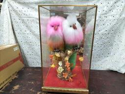 庄腳柑仔店~早期玻璃冰碗僅剩透明碗~尺寸:徑11.5*高4公分 歷史價格詳細信息