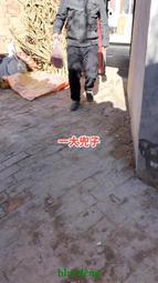 本人常年一線下鄉收貨各種鄉村老物件！小本買賣混口飯吃多多關照1482 歷史價格詳細信息