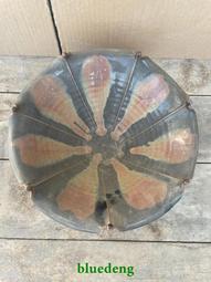 鄉村裡收的粗瓷花碗，上面有一條小線，圖1可見！便宜賣了，81490 歷史價格詳細信息