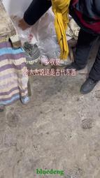 鄉村裡收的四季豐收小碟子，都是全品無磕碰，不單出，通走四個1334 歷史價格詳細信息