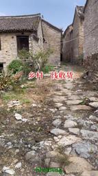 下鄉一角小纖雲愛藏金盾67分無45443 歷史價格詳細信息