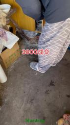 本人常年一線下鄉收貨各種鄉村老物件！小本買賣混口飯吃多多關照1482 歷史價格詳細信息