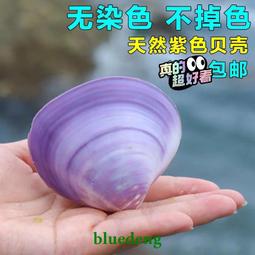 貝殼雙開門led化妝鏡帶燈收納盒一體臺式桌面摺疊可調節鏡子學生  露天市集  全臺最大的網路購物市集 歷史價格詳細信息