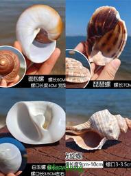 大口徑螺旋管 焊接管 3pe防腐 歷史價格詳細信息