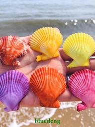 貝殼彩球與藍水晶珠吊飾 歷史價格詳細信息