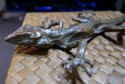 蜥蜴壁虎Propalm鋁合金山地自行車水壺架水杯架單車個性配件 歷史價格詳細信息