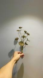 清（铜鎏金狮吼觀音） 歷史價格詳細信息