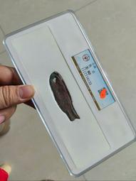 特惠先秦古幣 銅貝殼 幣 鬼臉幣 鬼臉錢 戰國古錢幣 10枚1套 套裝 仿古品 古玩古董收藏 歷史價格詳細信息