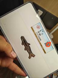 特惠先秦古幣 銅貝殼 幣 鬼臉幣 鬼臉錢 戰國古錢幣 10枚1套 套裝 仿古品 古玩古董收藏 歷史價格詳細信息