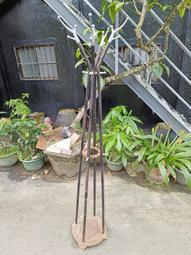 庄腳柑仔店~早期綠底梅花軍章臂章布章全新庫存品~2 歷史價格詳細信息