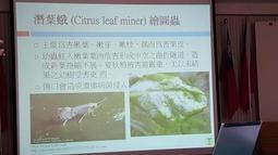 蛾眉皓齒高質感鏤空透視 連身貓裝 歷史價格詳細信息