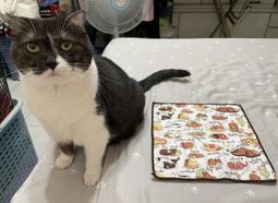 27口標準poe交換機2421個sfp光口百千兆網絡交換機光纖交換機 歷史價格詳細信息