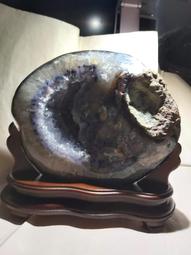 烏拉圭2011年100 Pesos 歷史價格詳細信息