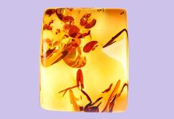 86(12-21) 避光墊 麂皮 碳纖維 超纖皮 法蘭絨 大理石皮 TOYOTA 豐田 【A.F.C 一朵花】 歷史價格詳細信息