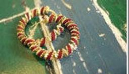 耳環BOONEE◆法式複古花朵獨特耳環女新款小衆設計高級感氣質耳釘耳飾0914 M5MR。 歷史價格詳細信息