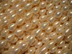 ~奇芽 水晶.寶石~ 天然-珍珠 5.5mm 扁半圓形 表面光滑~無凹線紋及無坑洞 長度35cm 一標一條*＝大批發場＝ 歷史價格詳細信息