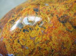 海能量齒體舒口液 250g 歷史價格詳細信息