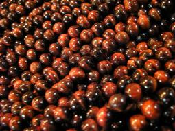 ~奇芽 水晶.寶石~ 天然-紅琉璃 六字箴言 16mm 鍍鎏金 長圓形 AAA極品 長度30cm一標一條*＝大批發場＝ 歷史價格詳細信息