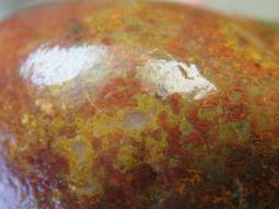 海能量生機護膚潔面露 350g X2入 歷史價格詳細信息