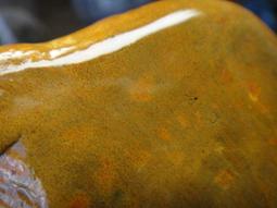 ????金黃樹化玉髓手排手鍊 特製訂做高檔手環 天磨座精工原創Gse 66 精密打磨專屬感浪漫復古的藝術品✨ 歷史價格詳細信息