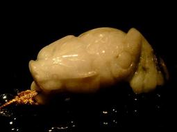 【一元起標館】《ICQ神乎奇技》ISBN:9867922093│電腦人│王彥文/著│全新 歷史價格詳細信息