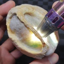 翡翠原石 木納邊角小墨翠 藍水 重量15克 尺寸3*2.5+0. 翡翠 原石 收藏 【天地通】二手-300 歷史價格詳細信息