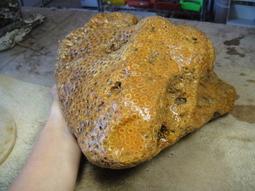 《紀老師的收藏 》頂級玉石立體精雕把玩•財位擺件→100%天然紫玉髓全手工精雕--鎮財龍龜→26E19K03  ※聚氣招財•收藏增值! 歷史價格詳細信息