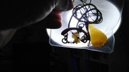 透均色a貨鳳梨黃翡翠風項鍊廉售 歷史價格詳細信息