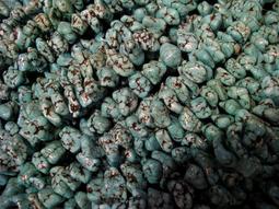 首發AAA冠全新 2020年印度尼西亞 75000盧比建國75周年紀念鈔紙幣【滿300出貨】 歷史價格詳細信息