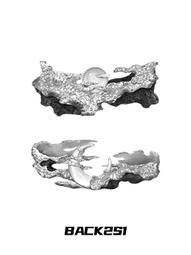 2024新爆款高速吹風機家用大功率藍光負離子大風力電吹風 歷史價格詳細信息