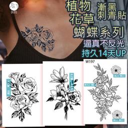 草本紋身貼蝴蝶圖案ins風男女防水持久仿真半永久logo手臂果汁貼 歷史價格詳細信息