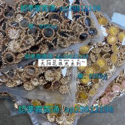 【免運】YOMOSTUDIO 包布小香風金屬鈕扣千鳥格布料雙面尼大衣外套扣子 歷史價格詳細信息