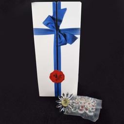 金卡價1428 二手 Coach馬車皮革奶油色金色條紋格子手提包13032 染色 泛黃 010400001375 04 歷史價格詳細信息