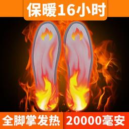 暖腳墊 110V插電式電熱暖腳墊 五檔控溫 電熱鞋 電熱墊 電熱 恒溫 暖腳寶 電熱暖腳器 電暖鞋 歷史價格詳細信息