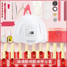 美甲工具套裝全套家用2024初學者甲油膠套裝一整套自用美甲店專用 歷史價格詳細信息