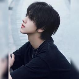 假髮女短髮圓臉短直髮型真發假髮套真人髮絲頭套女士假髮自然頭套 歷史價格詳細信息