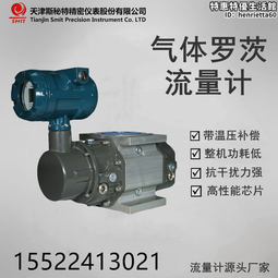 斯秘特b智能氣體旋進旋渦流量計 鋁合金材質溫壓補償一體化 歷史價格詳細信息