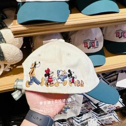 Miss莎卡娜【東京迪士尼】﹝預購﹞米奇米妮唐老鴨黛西胡迪三眼怪毛怪大眼仔雪寶妙妙貓兔兔傑克 絨毛票夾卡套 斜背零錢包 歷史價格詳細信息