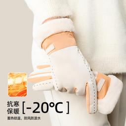 冬季保暖手套加厚加絨觸屏防風手套PU皮電動車騎行情侶手套男女士 歷史價格詳細信息