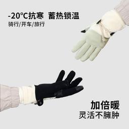 冬季保暖手套女士加絨加厚防寒戶外開車騎行運動防風防水觸屏新款【緻雅尚品】 歷史價格詳細信息